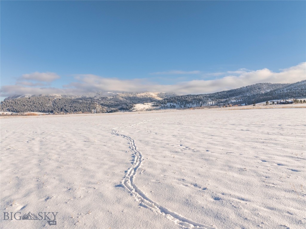 1903 Mount Ellis Lane