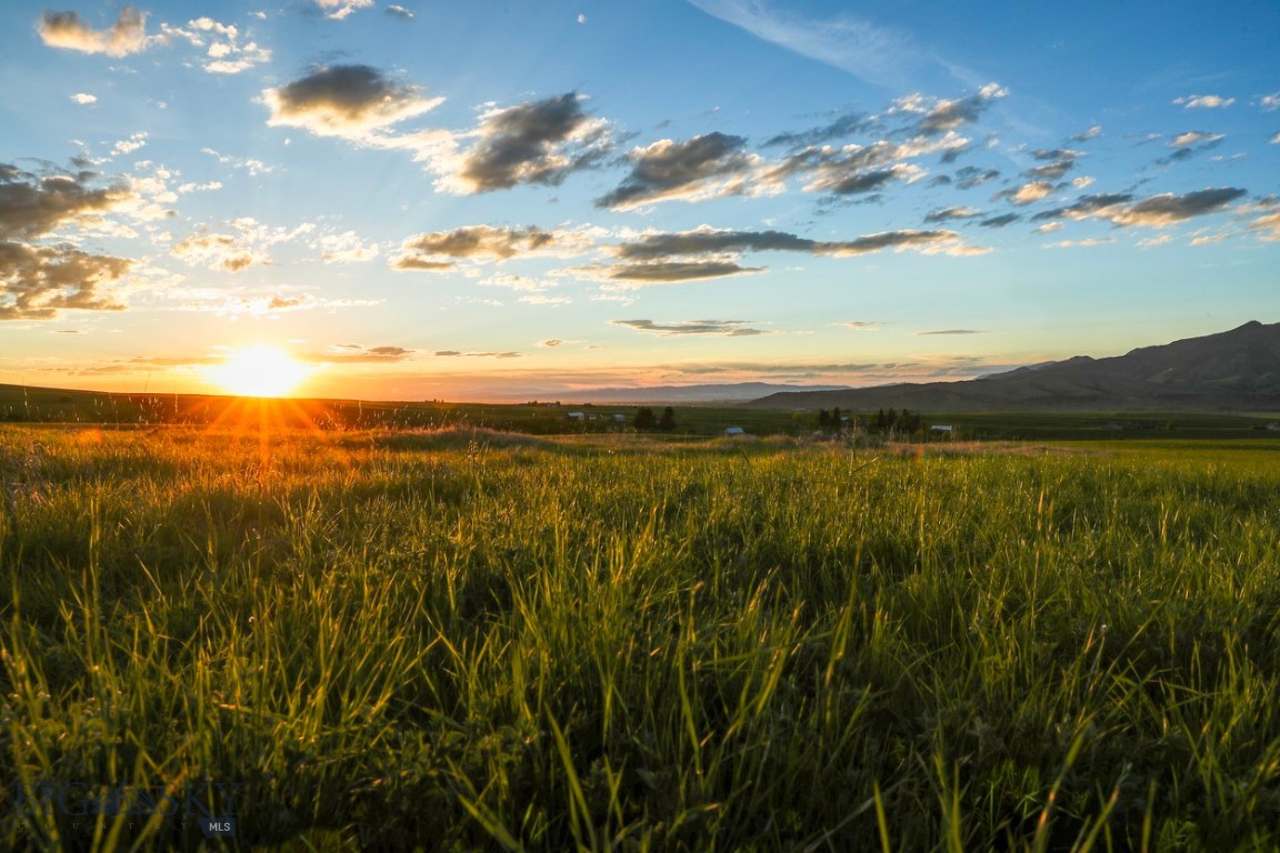 1903 Mount Ellis Lane