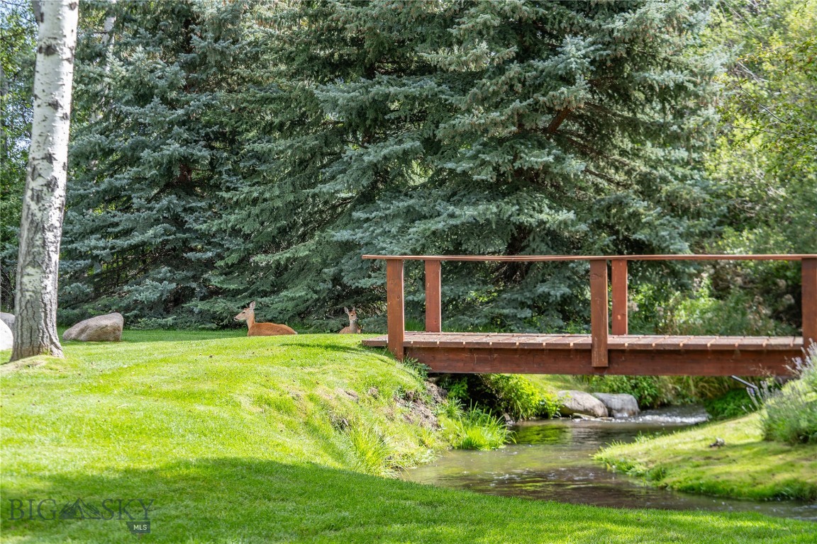 2516 Spring Creek Drive