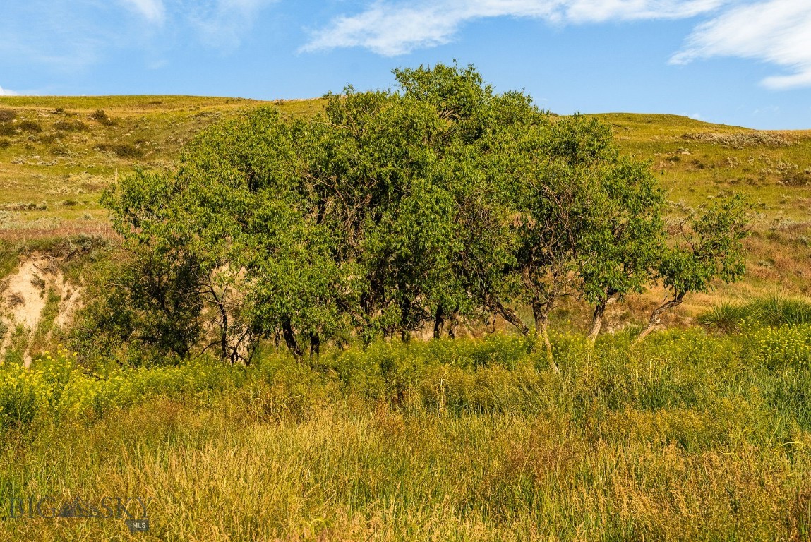 8200 Camp Creek Road