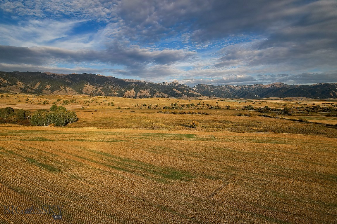 TBD Pheasant Ridge Lane