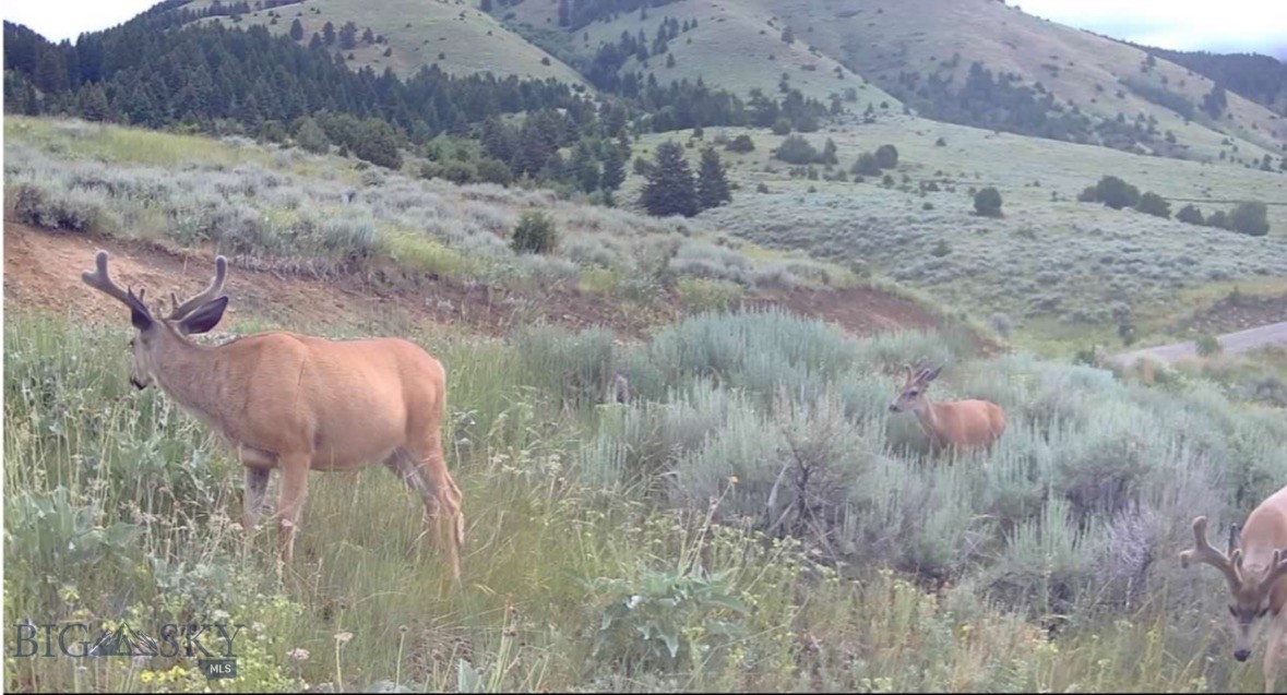 Springhill Vistas Ranch at Four Bar Ranches