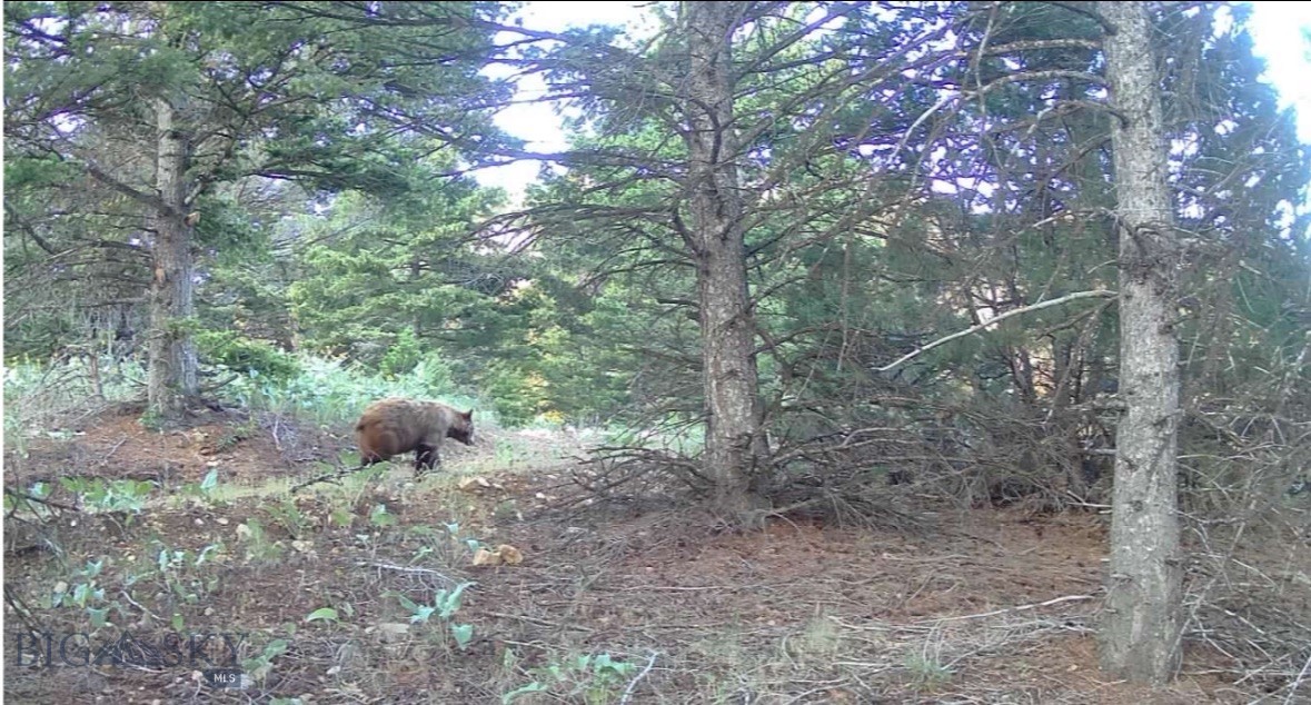 Springhill Vistas Ranch at Four Bar Ranches