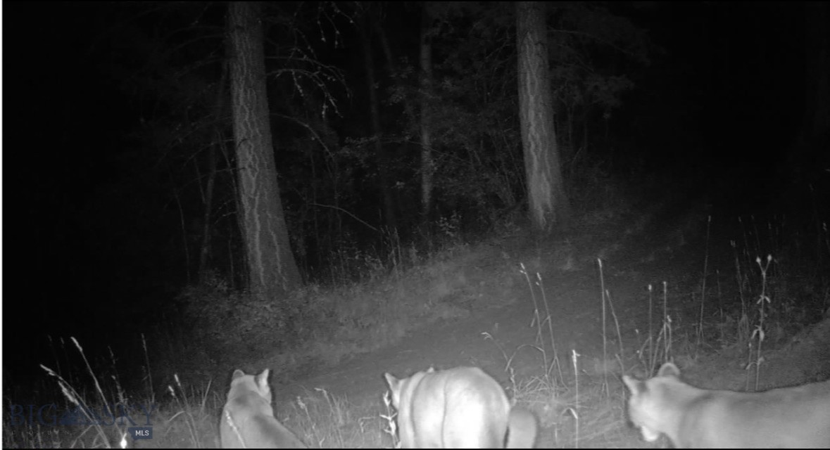 Springhill Vistas Ranch at Four Bar Ranches