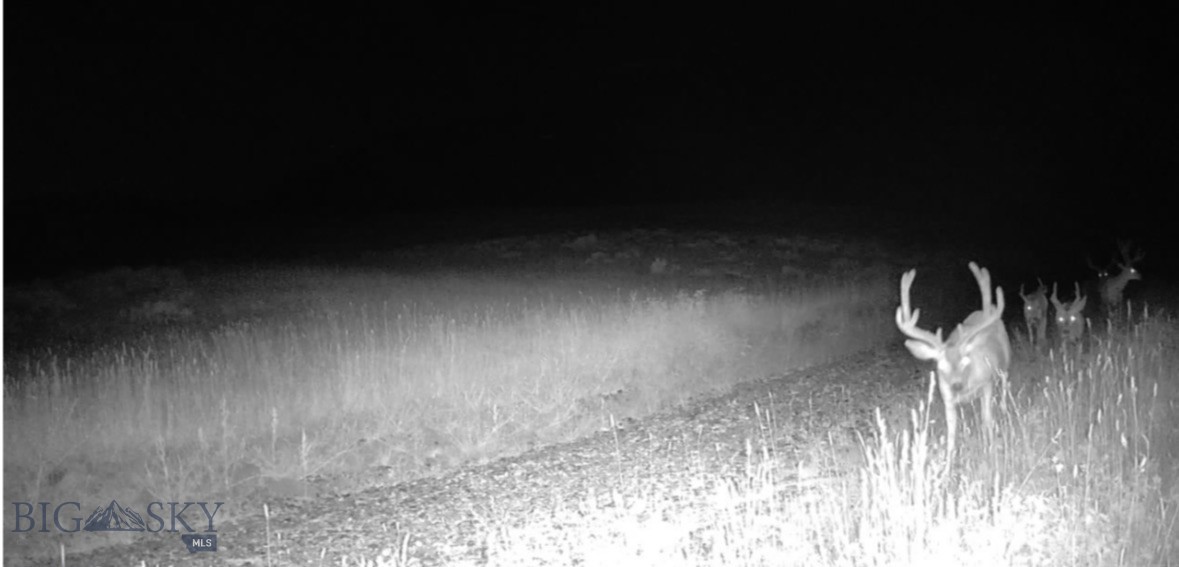 Springhill Vistas Ranch at Four Bar Ranches