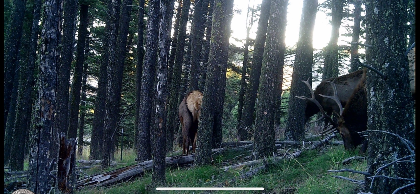 Springhill Vistas Ranch at Four Bar Ranches