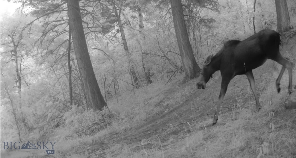 Springhill Vistas Ranch at Four Bar Ranches