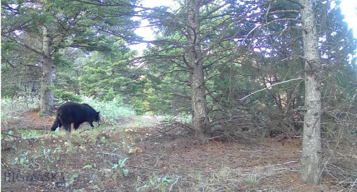 Springhill Vistas Ranch at Four Bar Ranches