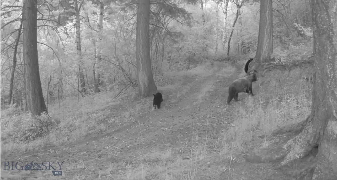 Springhill Vistas Ranch at Four Bar Ranches