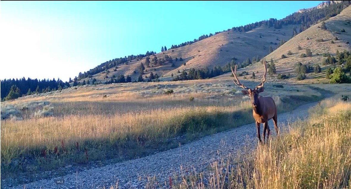 Springhill Vistas Ranch at Four Bar Ranches