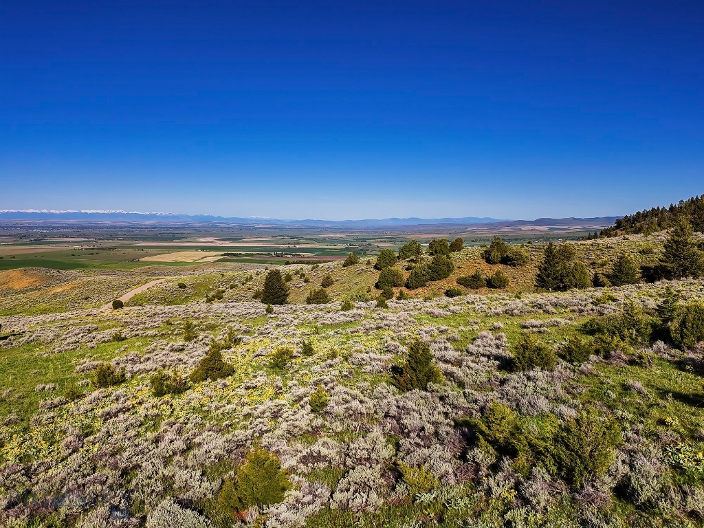 Springhill Vistas Ranch at Four Bar Ranches