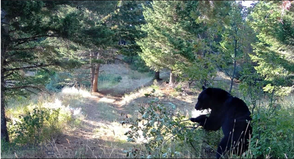 Springhill Vistas Ranch at Four Bar Ranches