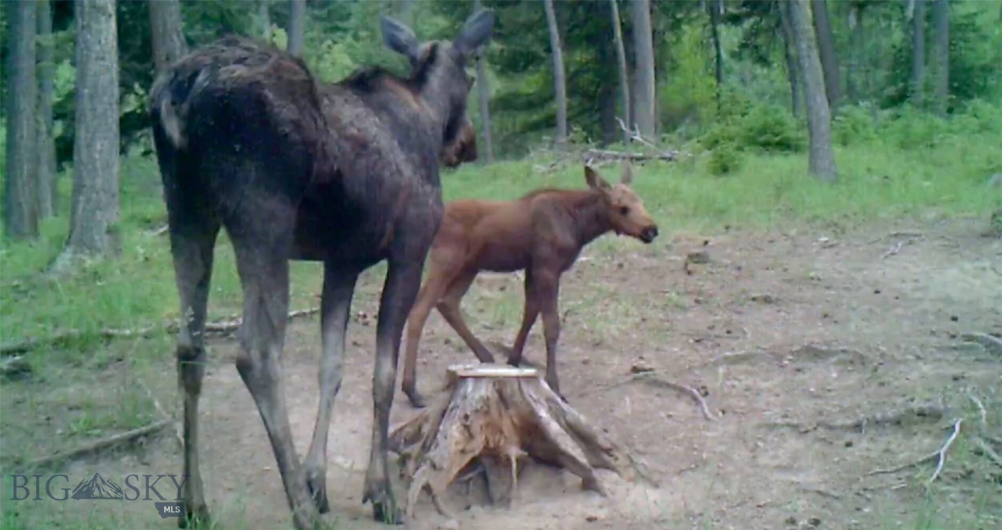 Springhill Vistas Ranch at Four Bar Ranches