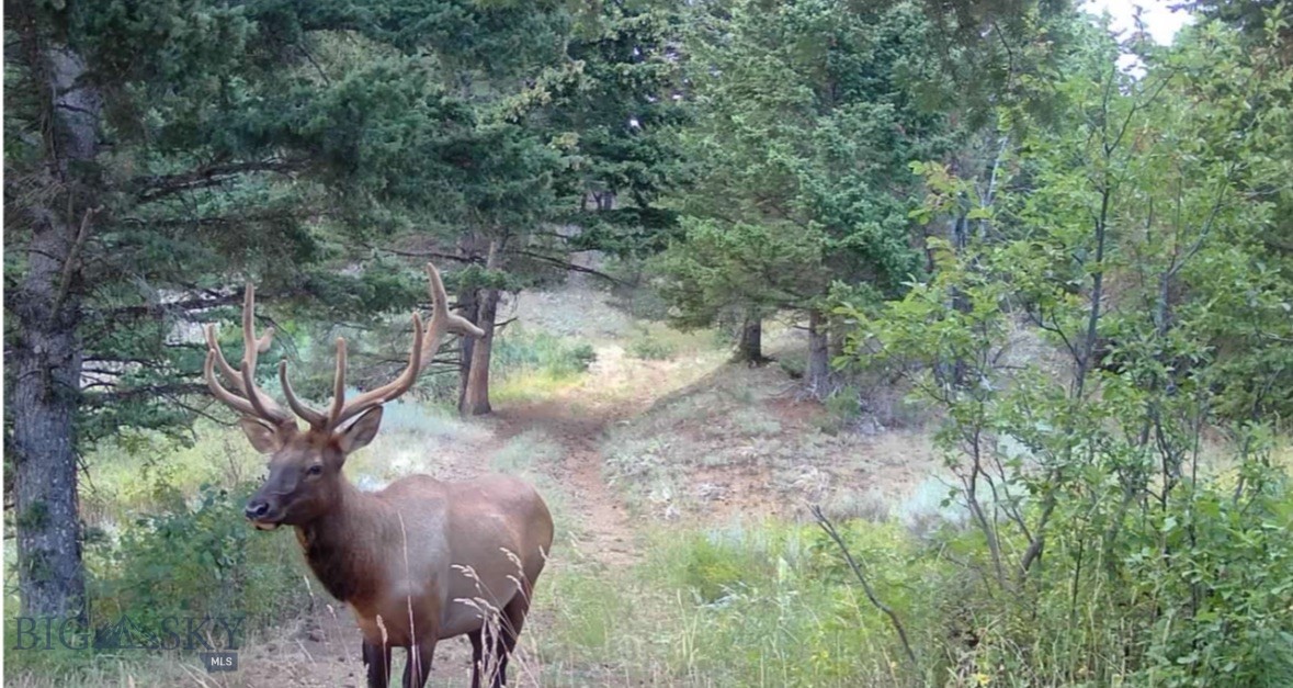 Springhill Vistas Ranch at Four Bar Ranches