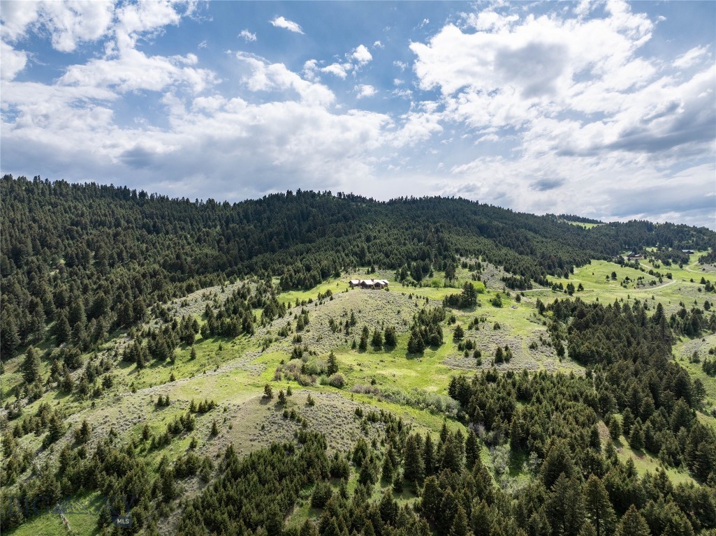 94 Skyband Trail
