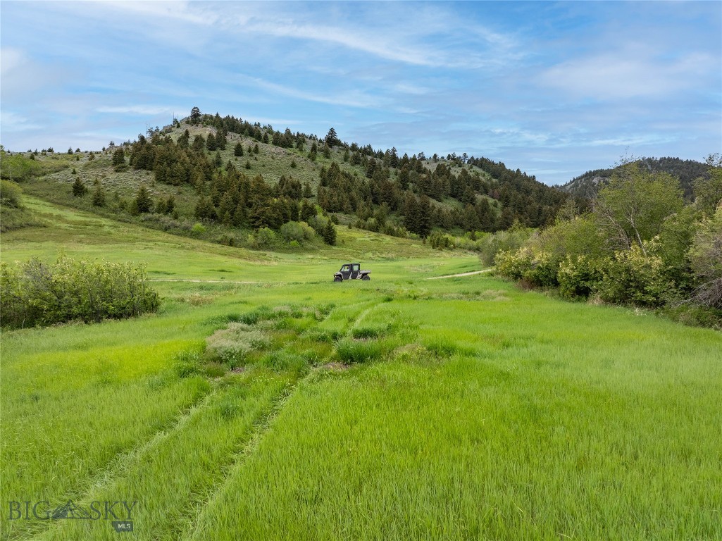 94 Skyband Trail