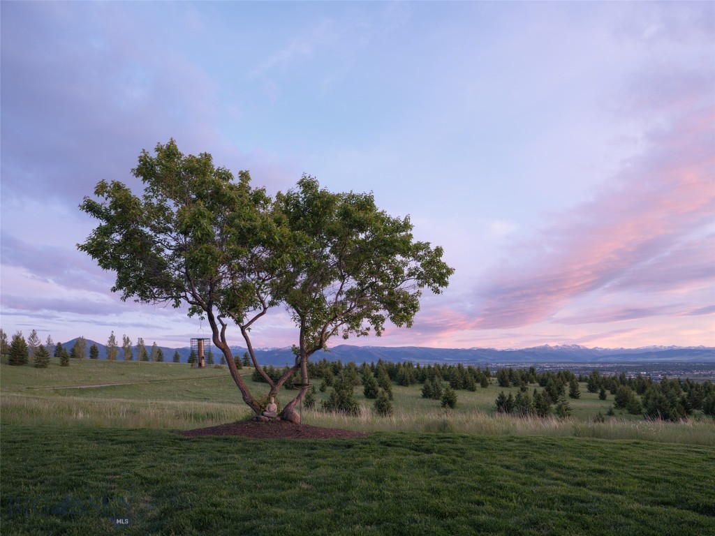 2375 Whitetail Road