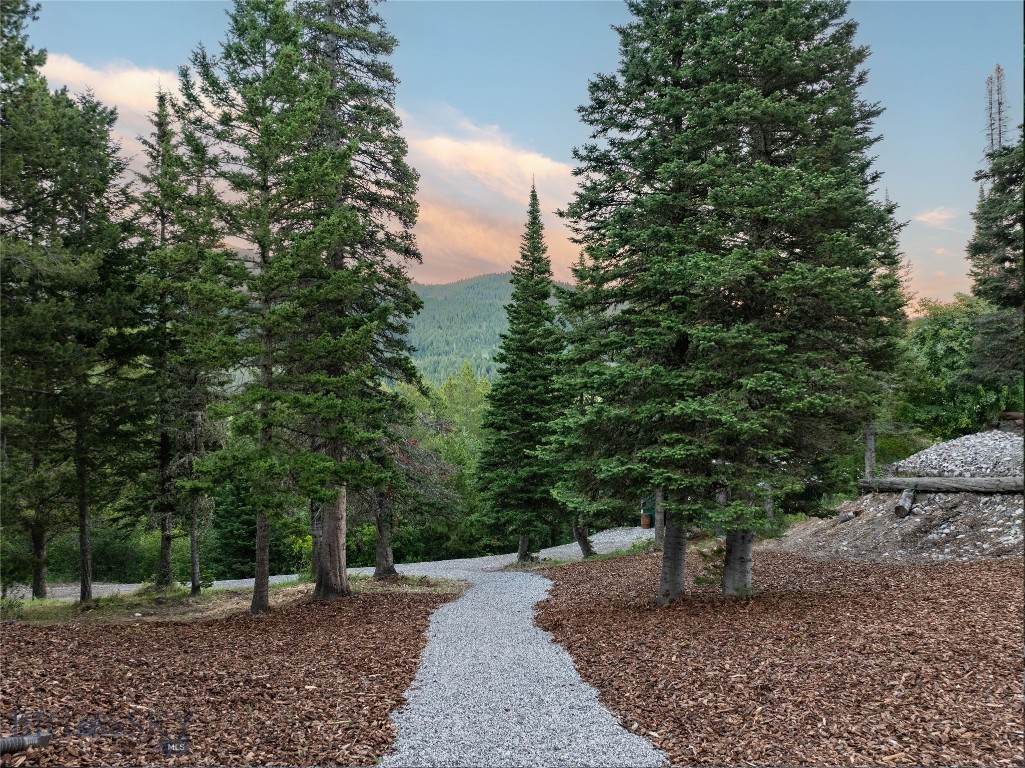 11540 Taiga Trail