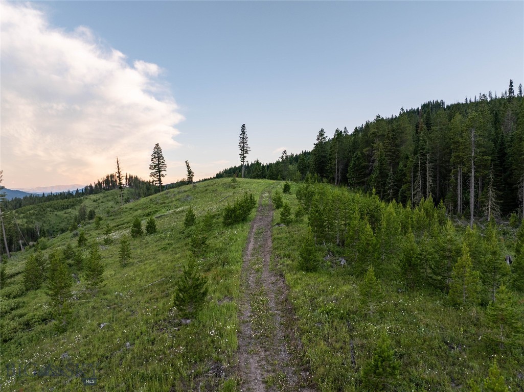 11540 Taiga Trail
