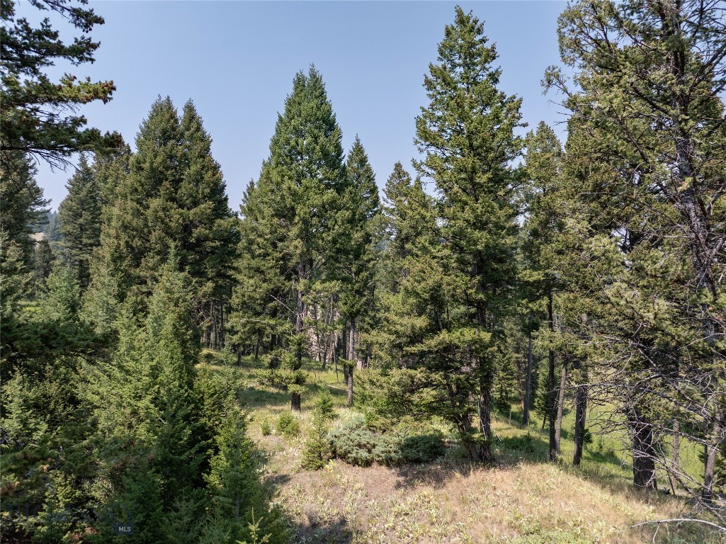 116 Elk Ridge Road
