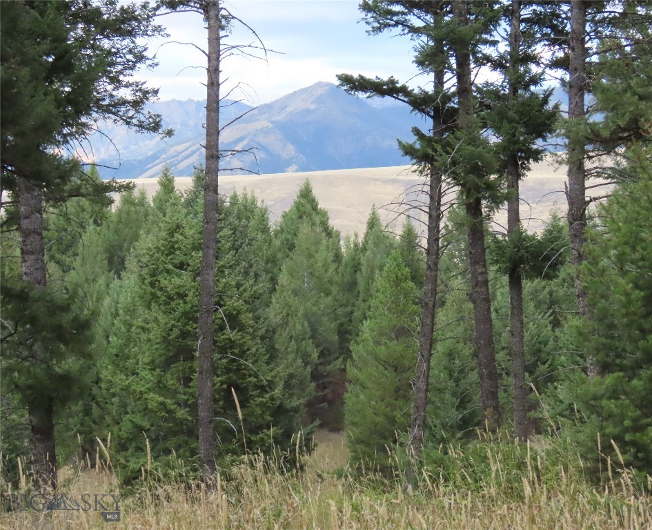 116 Elk Ridge Road