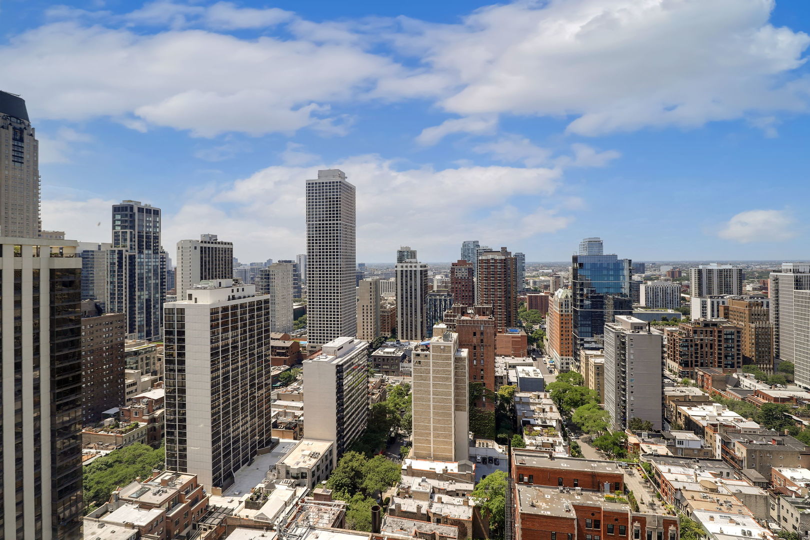 1110 N Lake Shore Drive Unit: 32N