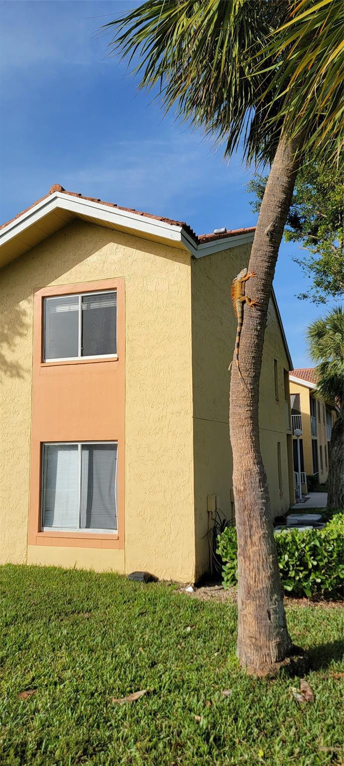 1055 Coral Club Drive .