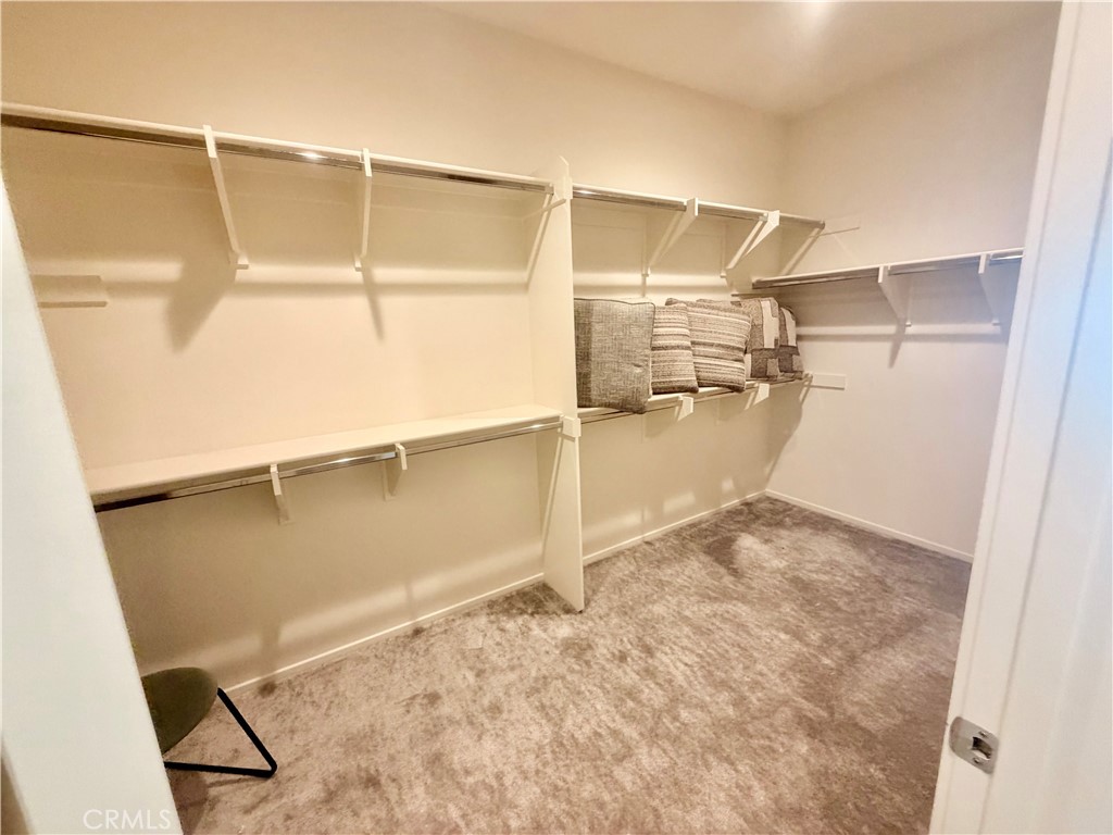 2236 Century Plant Street