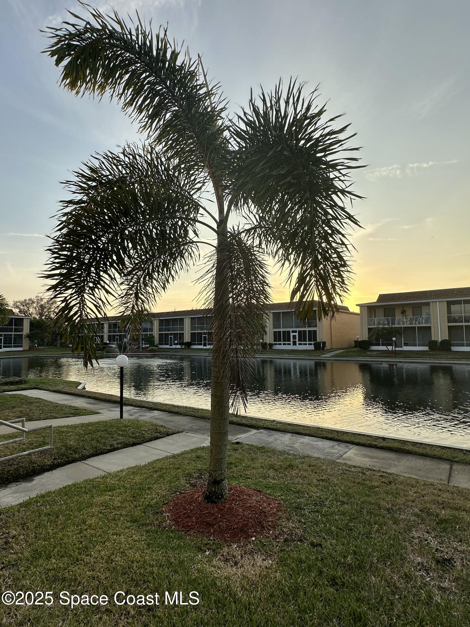 2135 N Courtenay Parkway, 217