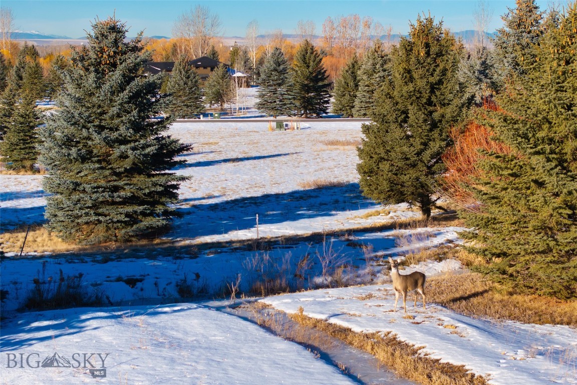 TBD Bridger Lake Drive