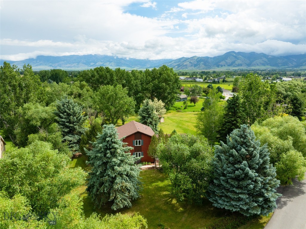 703 Mountain View Drive