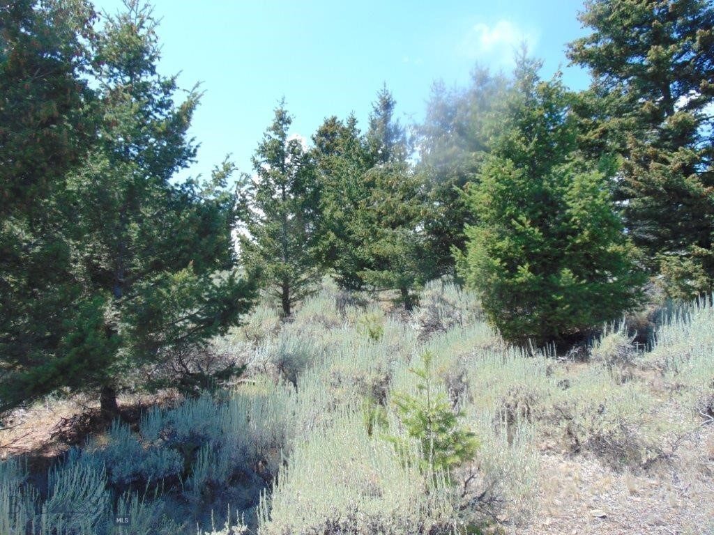 TBD Badger Creek Road