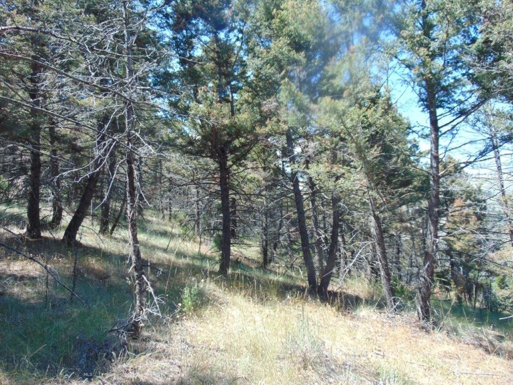 TBD Badger Creek Road