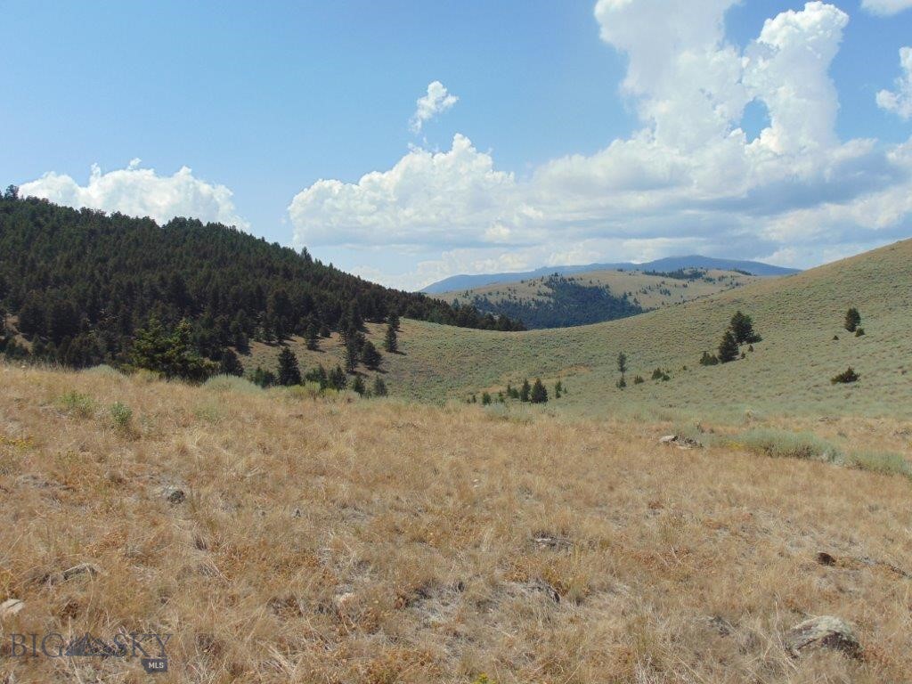 TBD Badger Creek Road