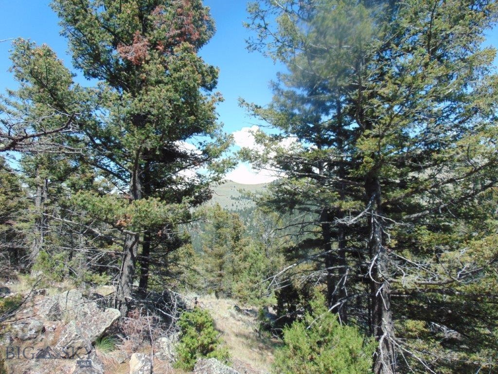 TBD Badger Creek Road