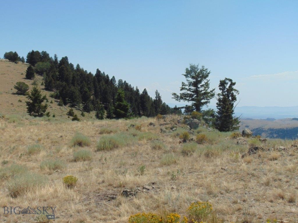 TBD Badger Creek Road