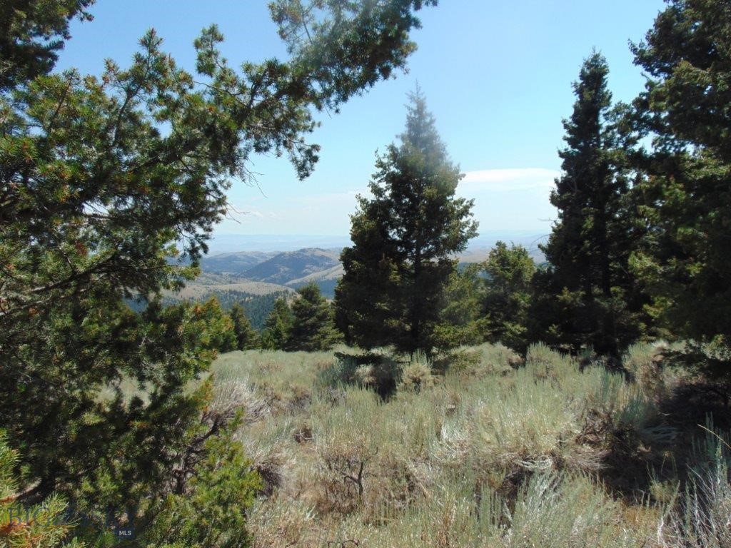 TBD Badger Creek Road