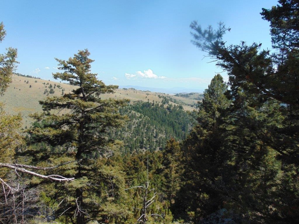 TBD Badger Creek Road