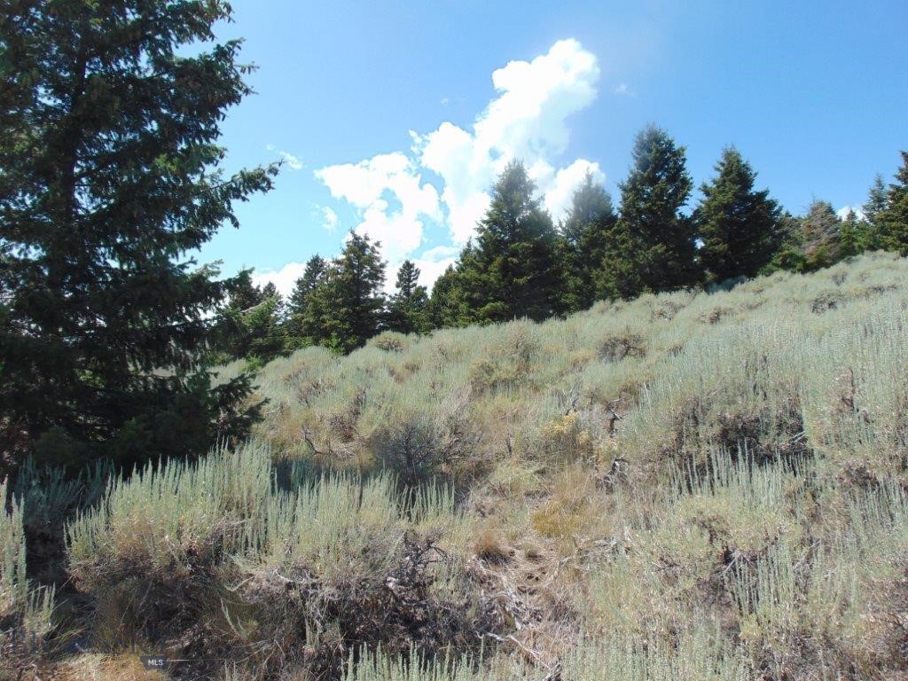 TBD Badger Creek Road