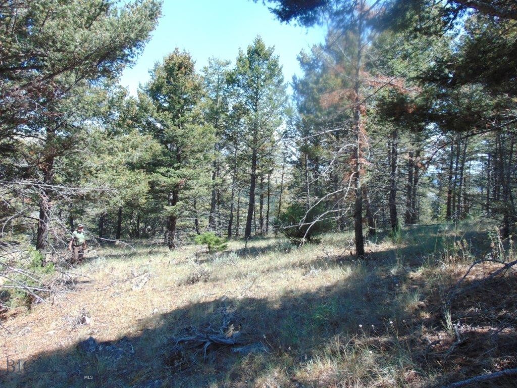 TBD Badger Creek Road