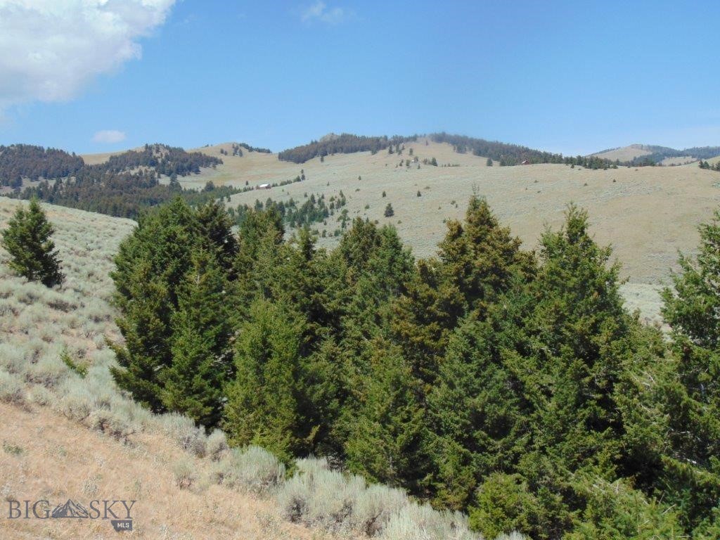 TBD Badger Creek Road