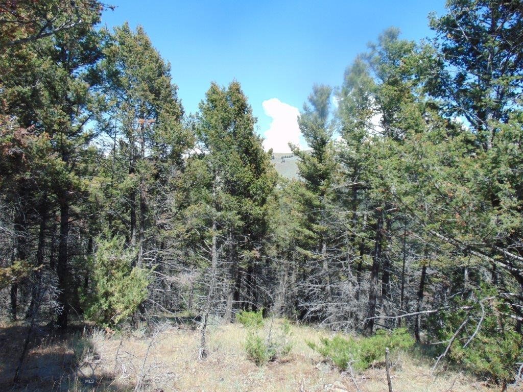 TBD Badger Creek Road