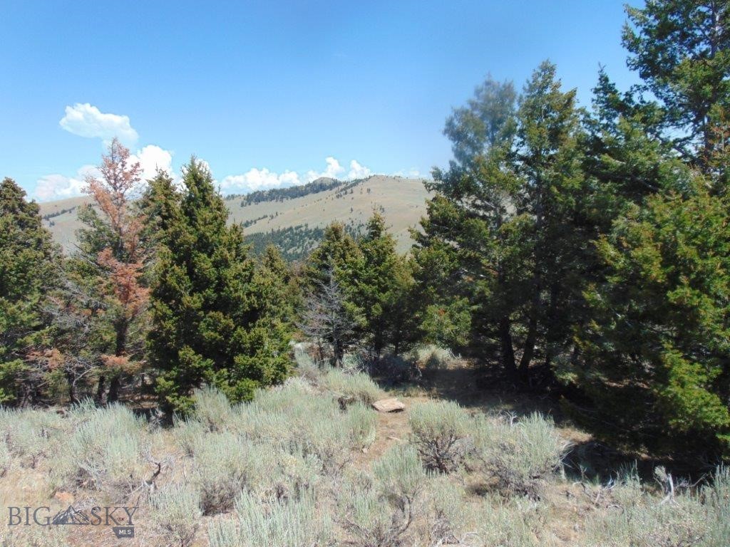 TBD Badger Creek Road