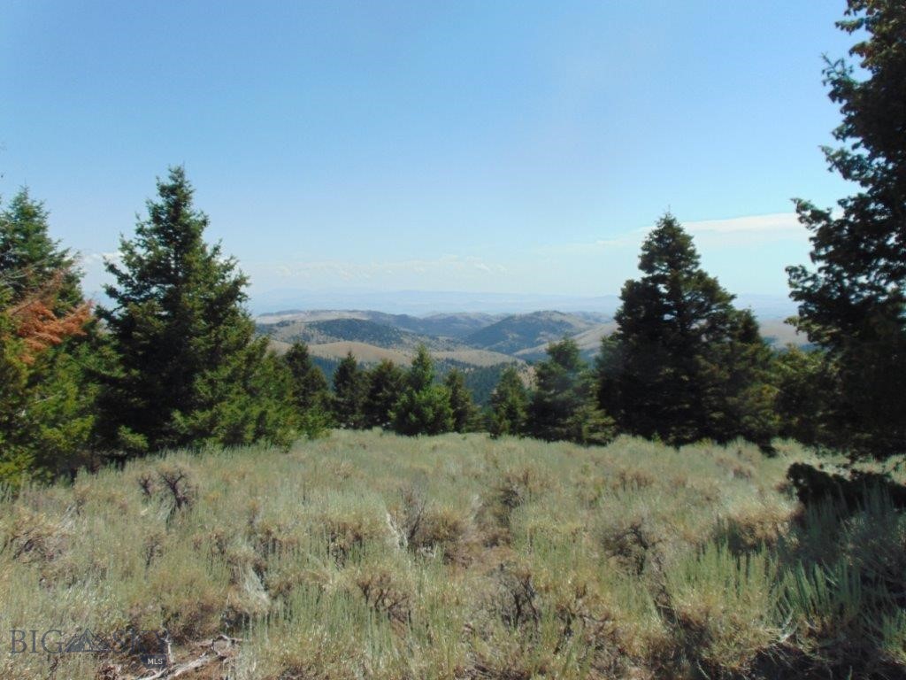 TBD Badger Creek Road