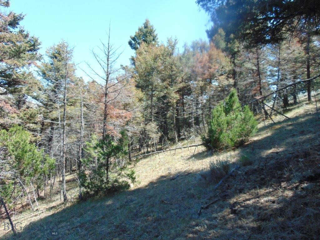 TBD Badger Creek Road