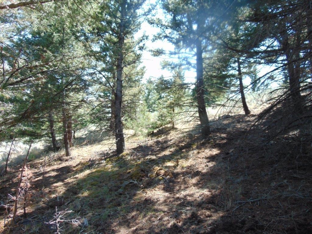 TBD Badger Creek Road