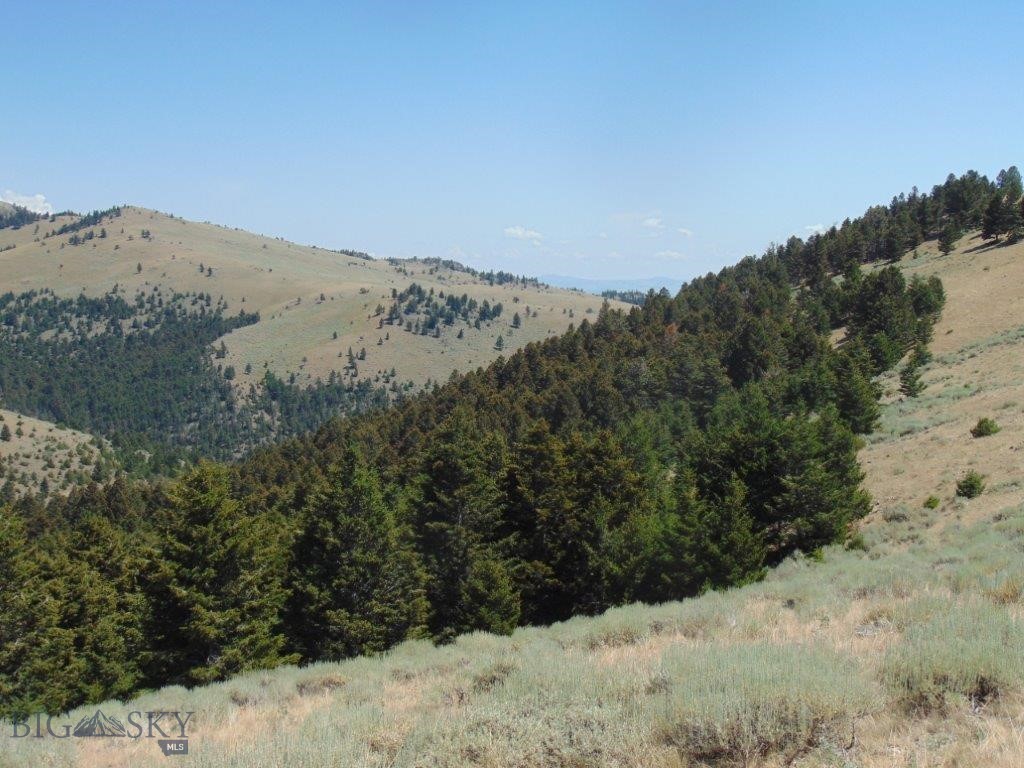 TBD Badger Creek Road