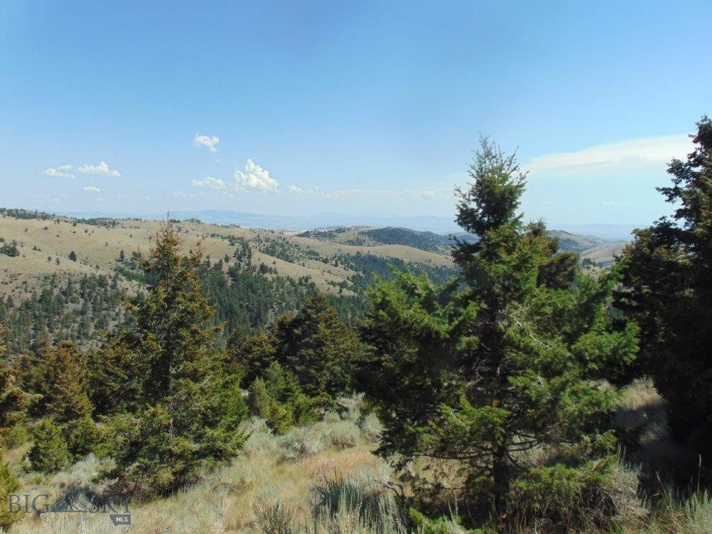 TBD Badger Creek Road