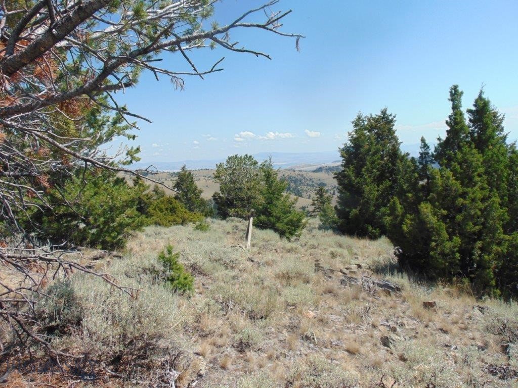 TBD Badger Creek Road