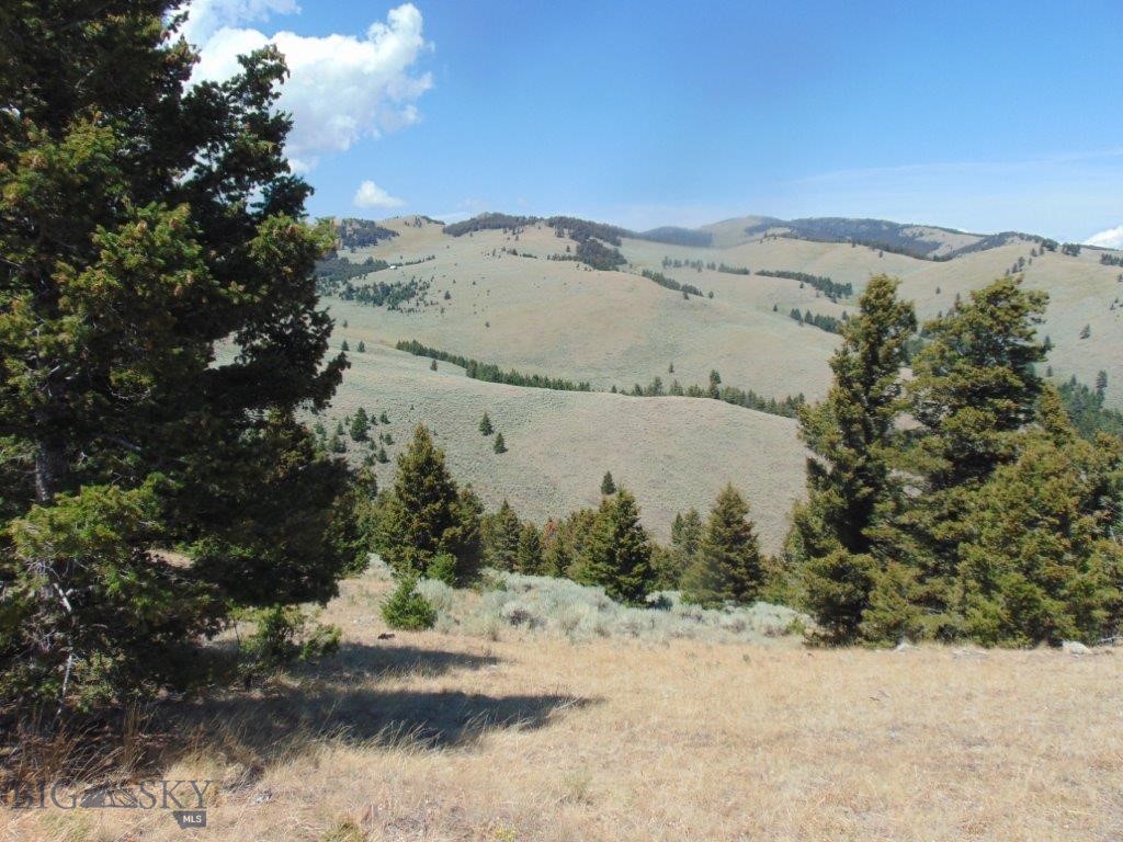 TBD Badger Creek Road